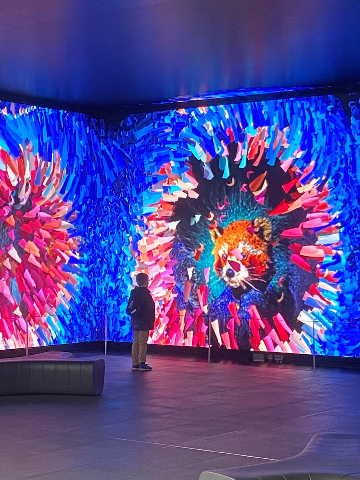 The Living Canvas — gallery image 4 of 4